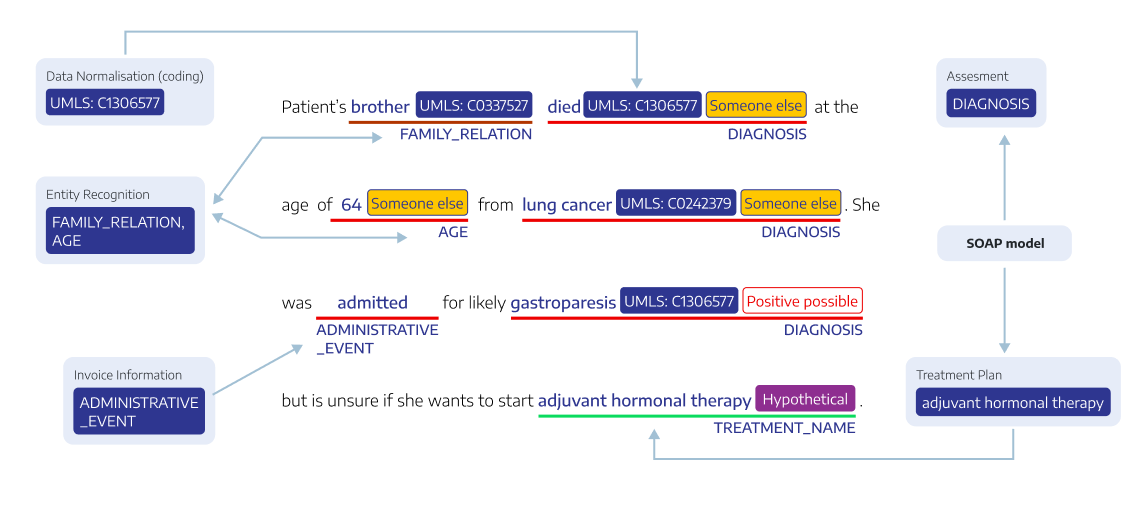 Transforming Healthcare with Automated Speech Recognition and Ontology-Driven Clinical Decision Support